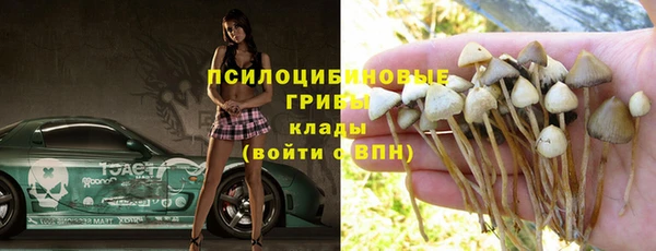 a pvp Алексин