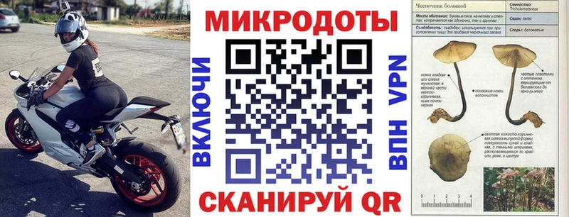 купить наркотики сайты  сайты даркнета телеграм  Псилоцибиновые грибы мицелий  Кольчугино 